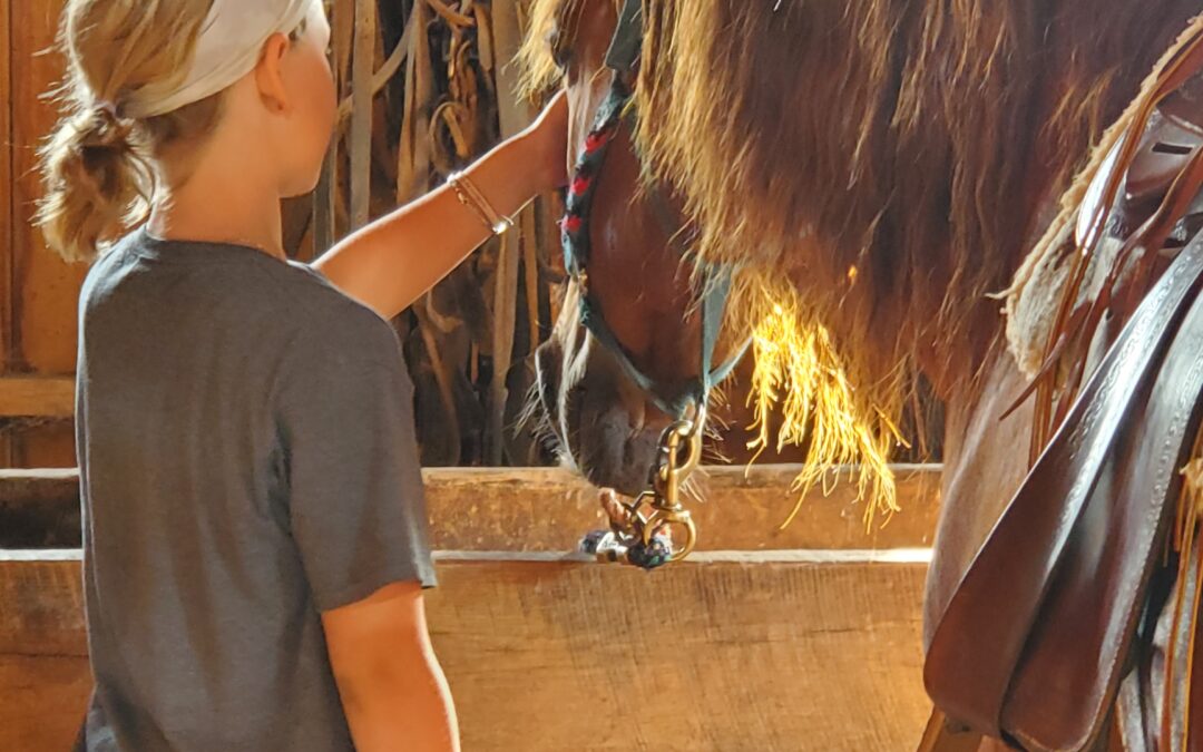 Beginner Horse Camp 3 – July 14-19, 2024